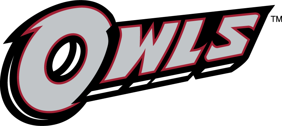 Temple Owls 2014-2020 Wordmark Logo v4 DIY iron on transfer (heat transfer)